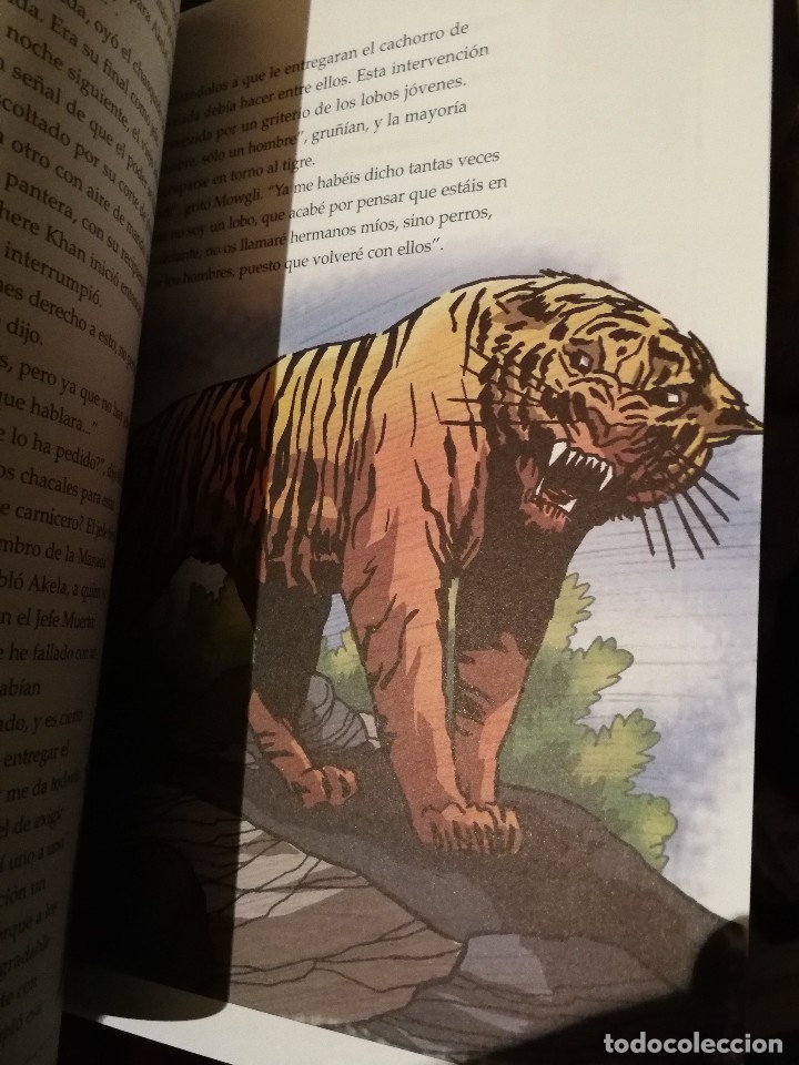 Libros antiguos: EL LIBRO DE LA SELVA - RUDYARD KIPLING - EDIC. ABREVIADA E ILUSTRADA - Foto 11