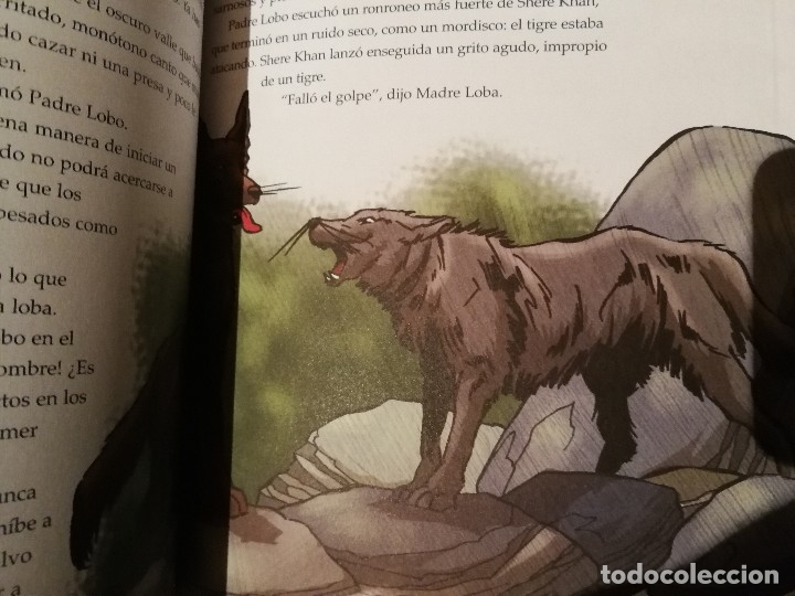 Libros antiguos: EL LIBRO DE LA SELVA - RUDYARD KIPLING - EDIC. ABREVIADA E ILUSTRADA - Foto 17