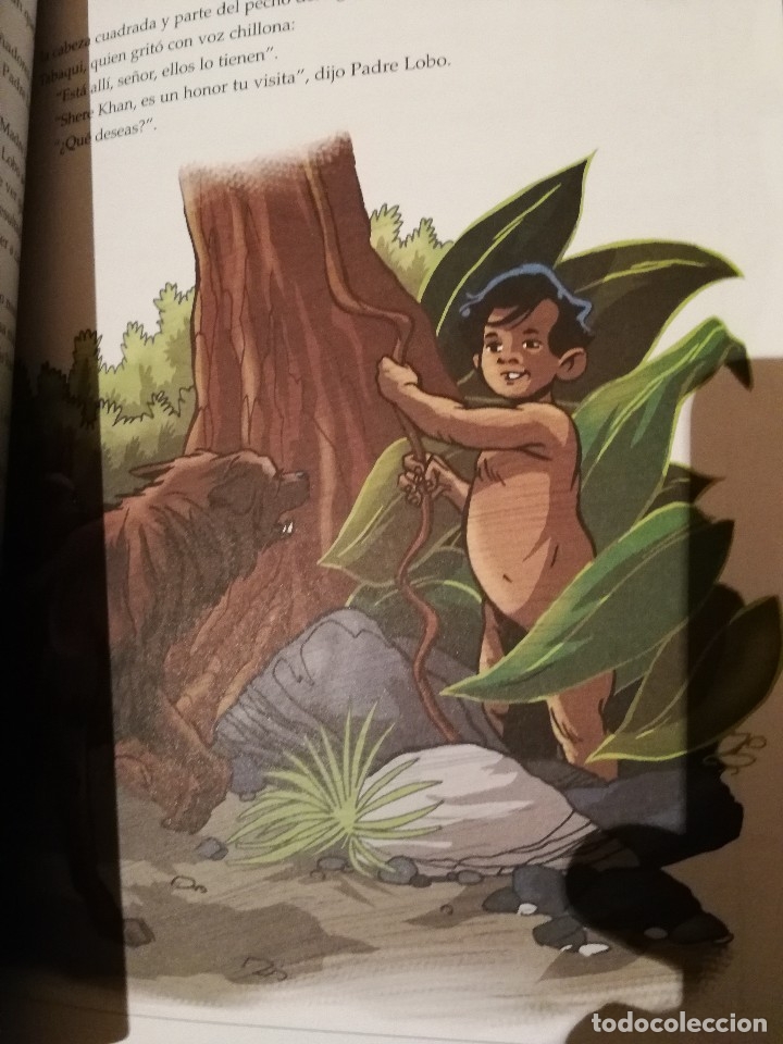 Libros antiguos: EL LIBRO DE LA SELVA - RUDYARD KIPLING - EDIC. ABREVIADA E ILUSTRADA - Foto 18