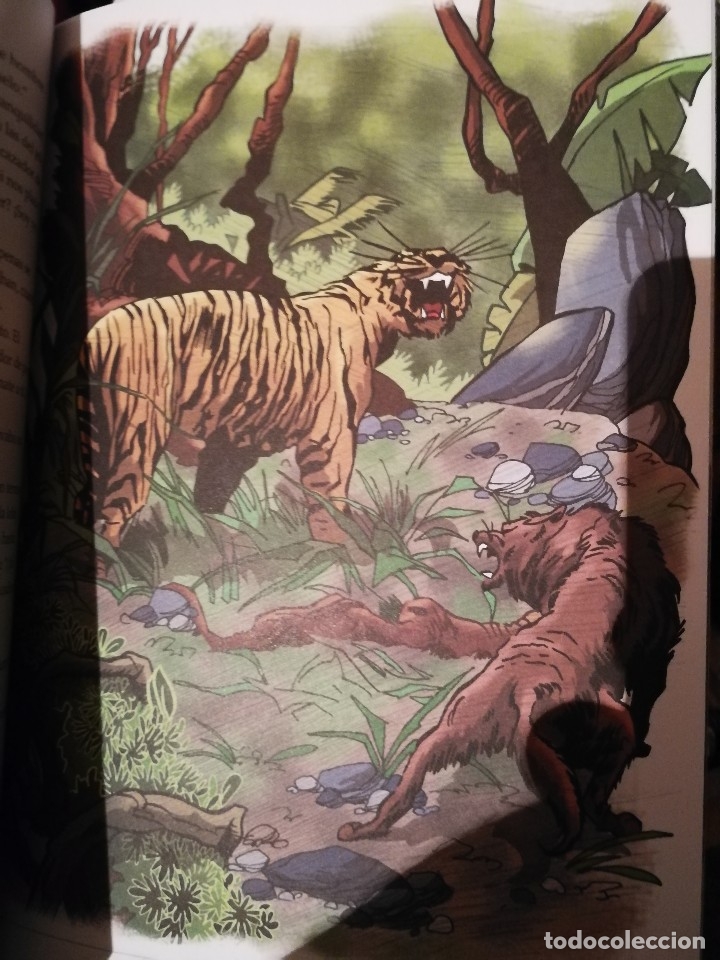 Libros antiguos: EL LIBRO DE LA SELVA - RUDYARD KIPLING - EDIC. ABREVIADA E ILUSTRADA - Foto 19