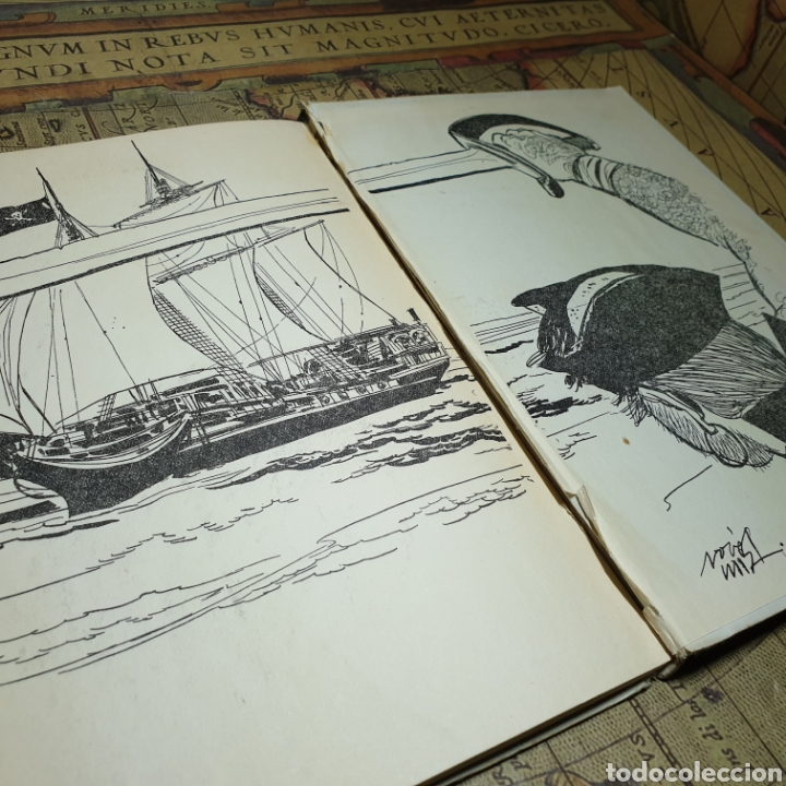 Libros antiguos: MARCO POLO. EDICIONES GAISA 1960. - Foto 6