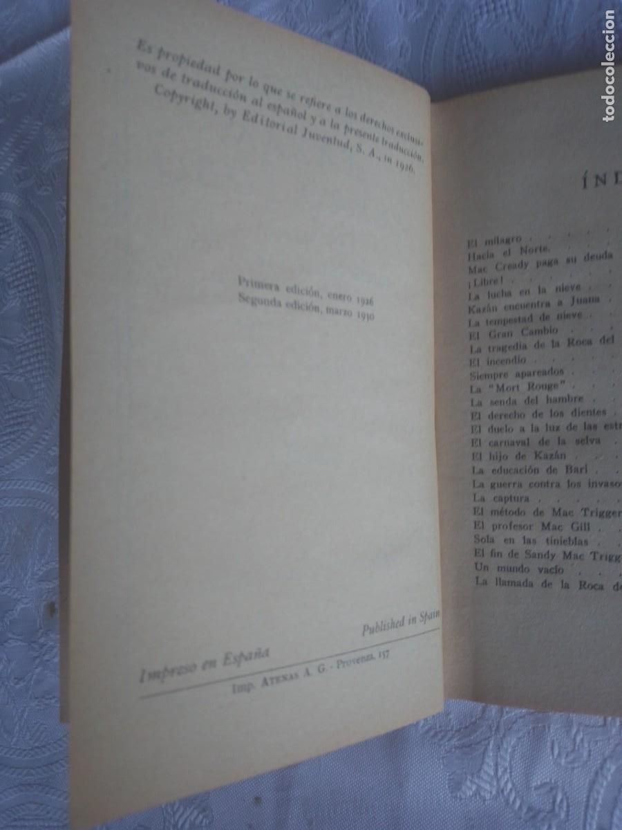 Libros antiguos: Kazan Perro Lobo - Foto 5