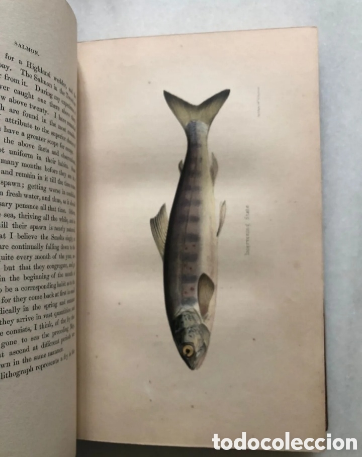 Libros antiguos: Libro 1&deg;Edici&oacute;n 1843 - Foto 8