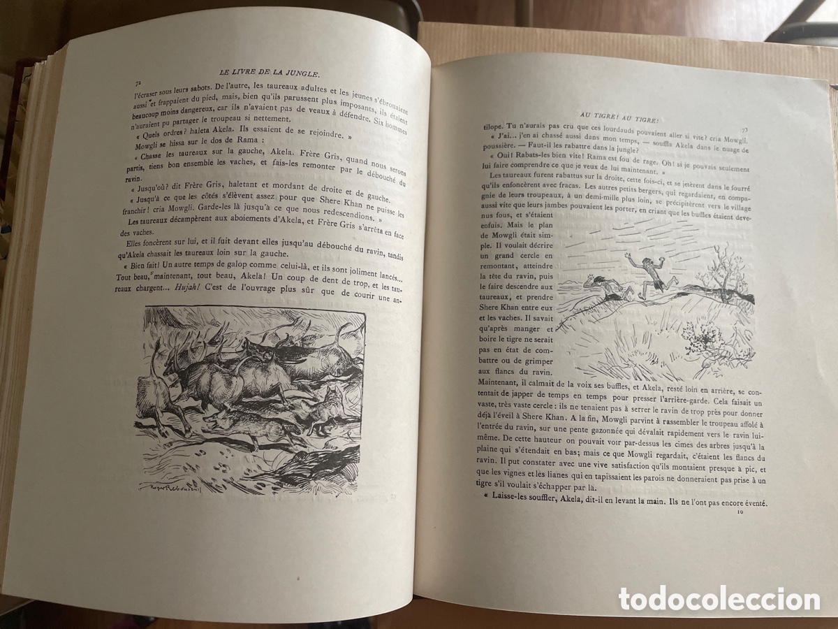 Libros antiguos: EL LIBRO DE LA SELVA - RUDYARD KIPLING 1933 - Foto 8