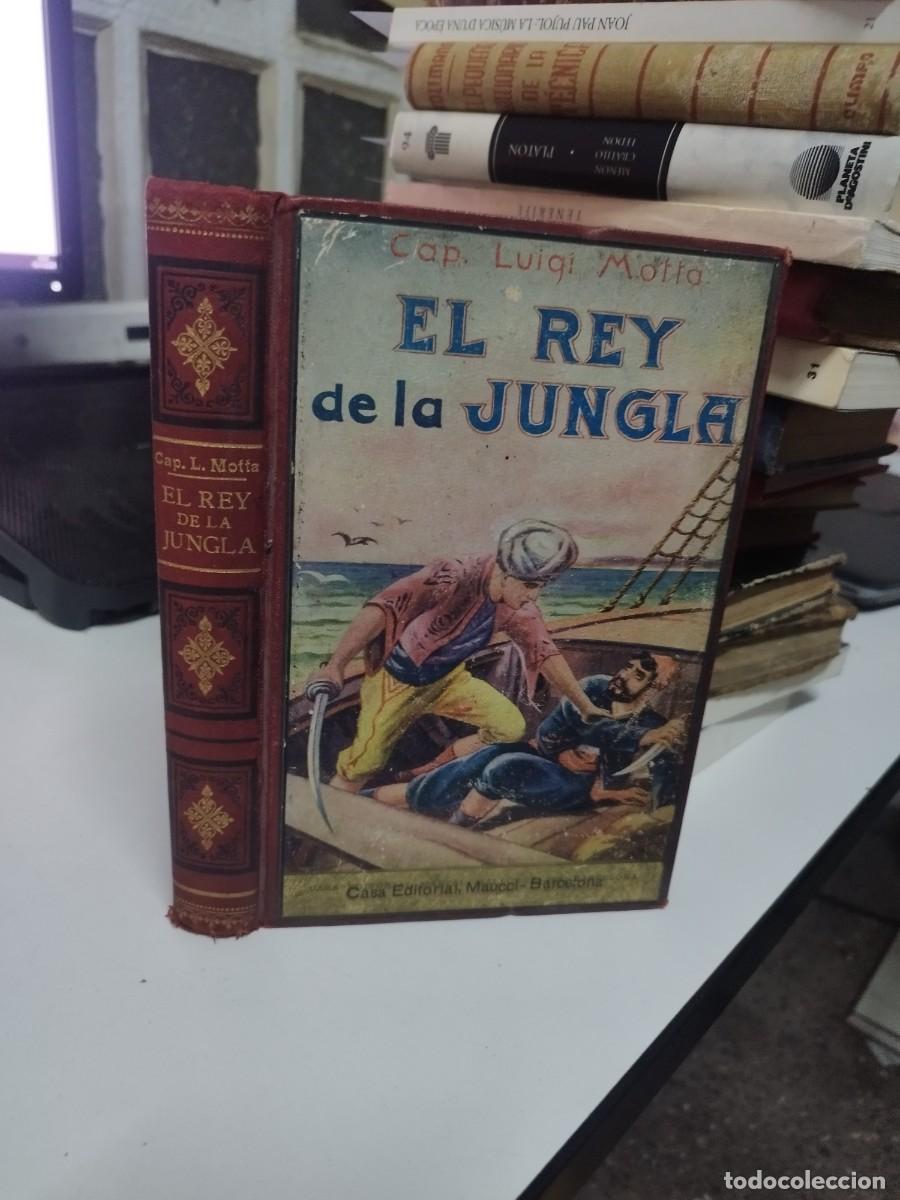 Libros antiguos: EL REY DE LA JUNGLA. - MOTTA, Luigi. - Foto 1