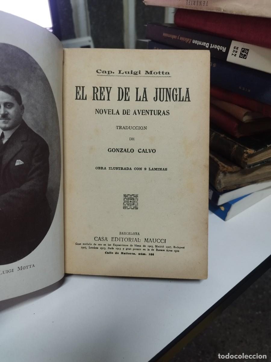 Libros antiguos: EL REY DE LA JUNGLA. - MOTTA, Luigi. - Foto 2
