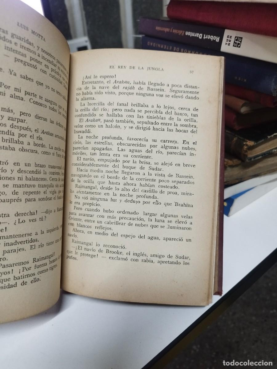 Libros antiguos: EL REY DE LA JUNGLA. - MOTTA, Luigi. - Foto 3