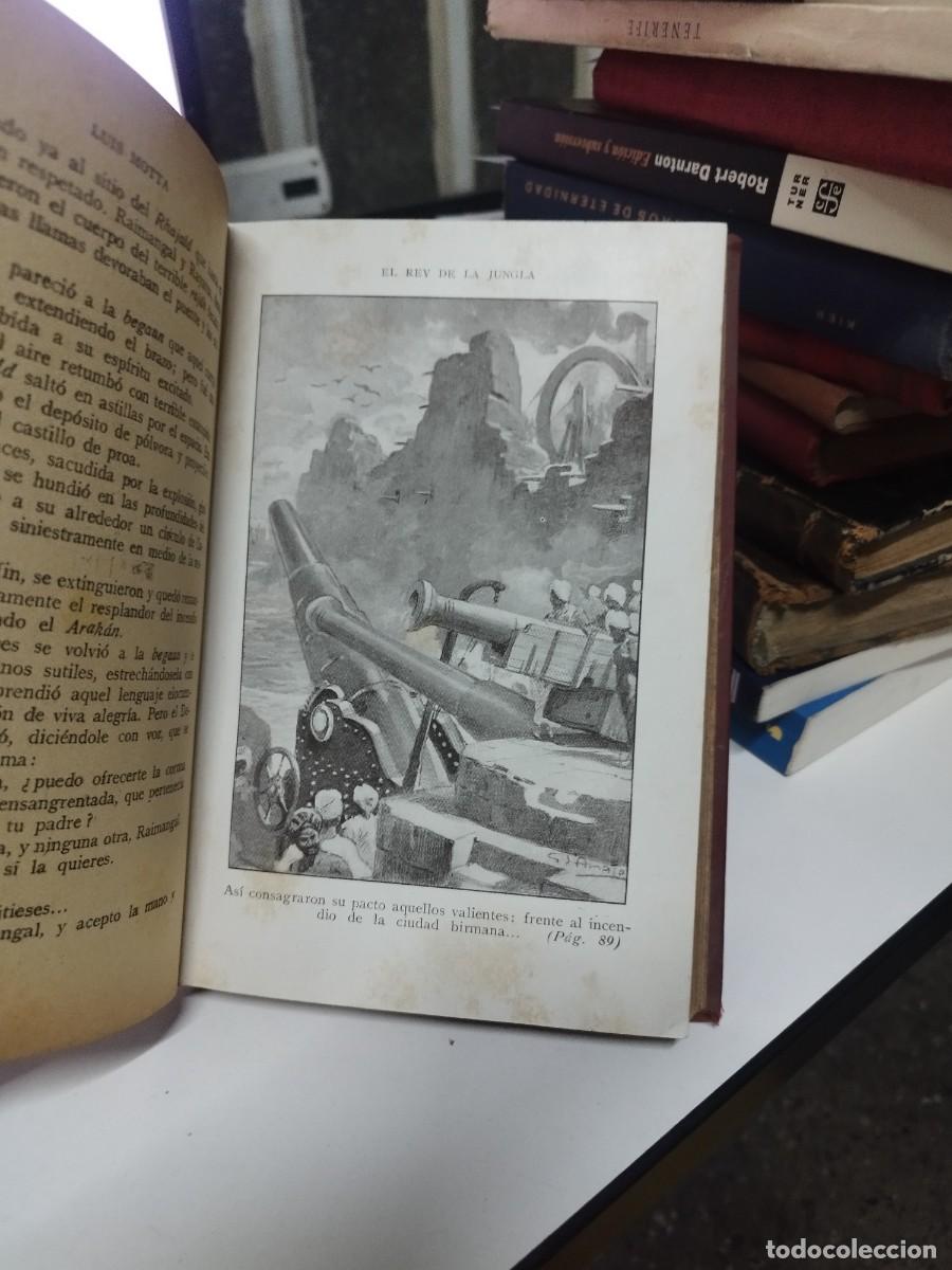 Libros antiguos: EL REY DE LA JUNGLA. - MOTTA, Luigi. - Foto 4