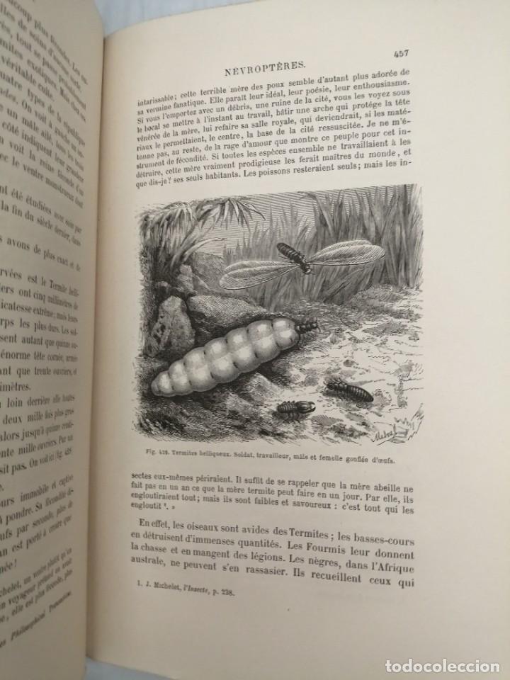 Libros antiguos: LES INSECTES (EDICI&Oacute;N 1875) - Foto 6