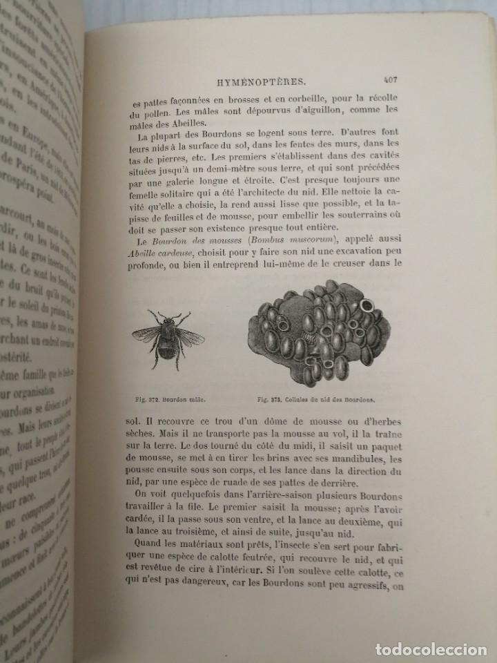 Libros antiguos: LES INSECTES (EDICI&Oacute;N 1875) - Foto 7