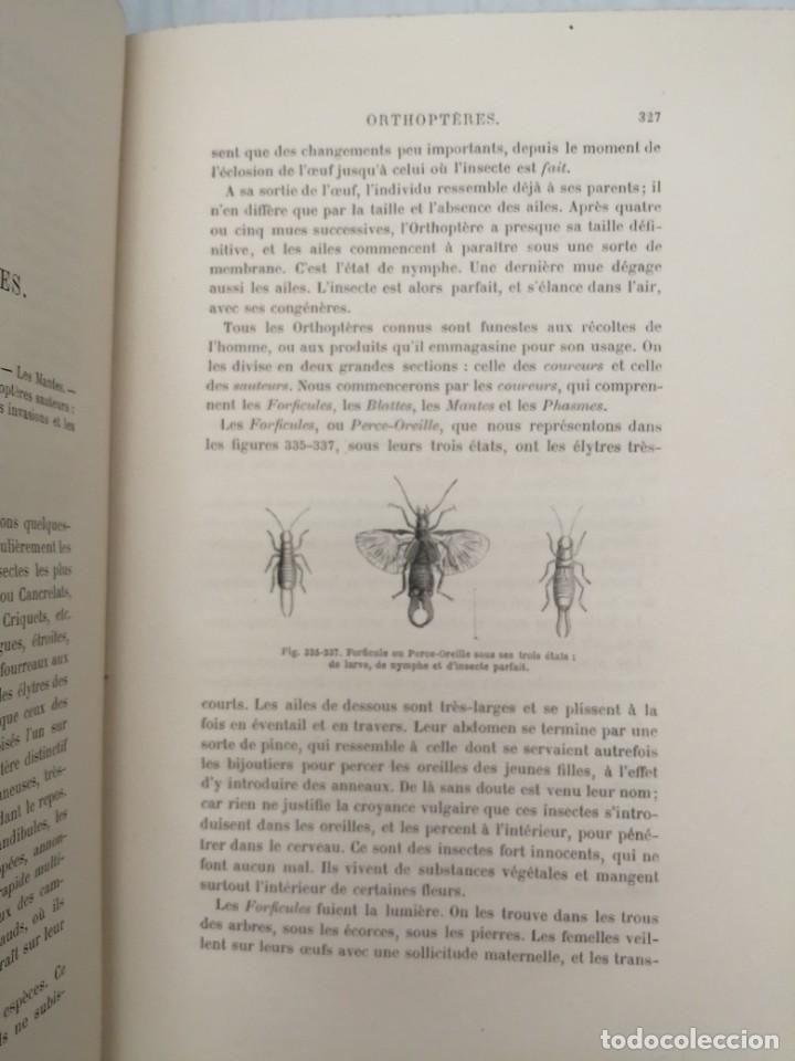 Libros antiguos: LES INSECTES (EDICI&Oacute;N 1875) - Foto 8