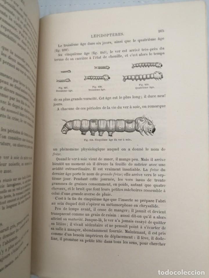 Libros antiguos: LES INSECTES (EDICI&Oacute;N 1875) - Foto 9