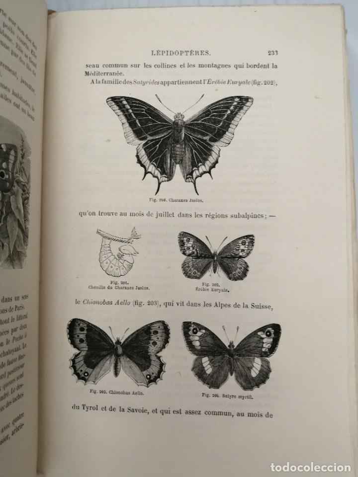Libros antiguos: LES INSECTES (EDICI&Oacute;N 1875) - Foto 10