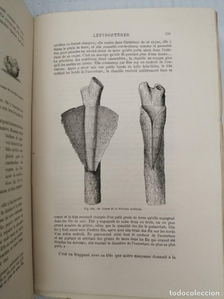 Libros antiguos: LES INSECTES (EDICI&Oacute;N 1875) - Foto 11