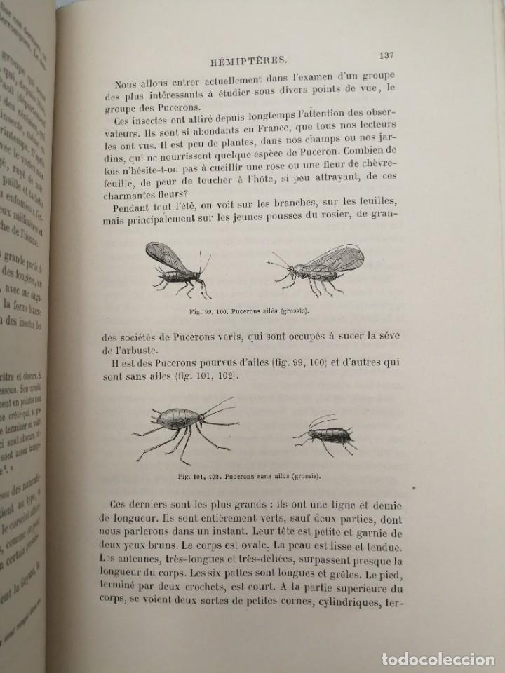 Libros antiguos: LES INSECTES (EDICI&Oacute;N 1875) - Foto 12