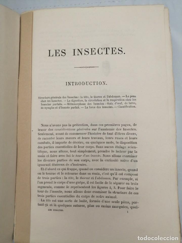 Libros antiguos: LES INSECTES (EDICI&Oacute;N 1875) - Foto 4