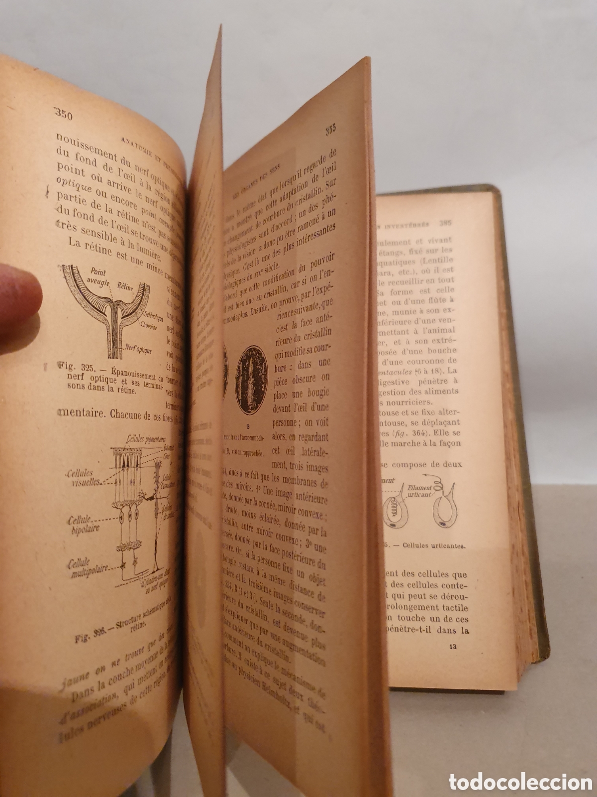 Libros antiguos: E. CAUSTIER. SCIENCIES NATURELLES. PARIS 1912. - Foto 7
