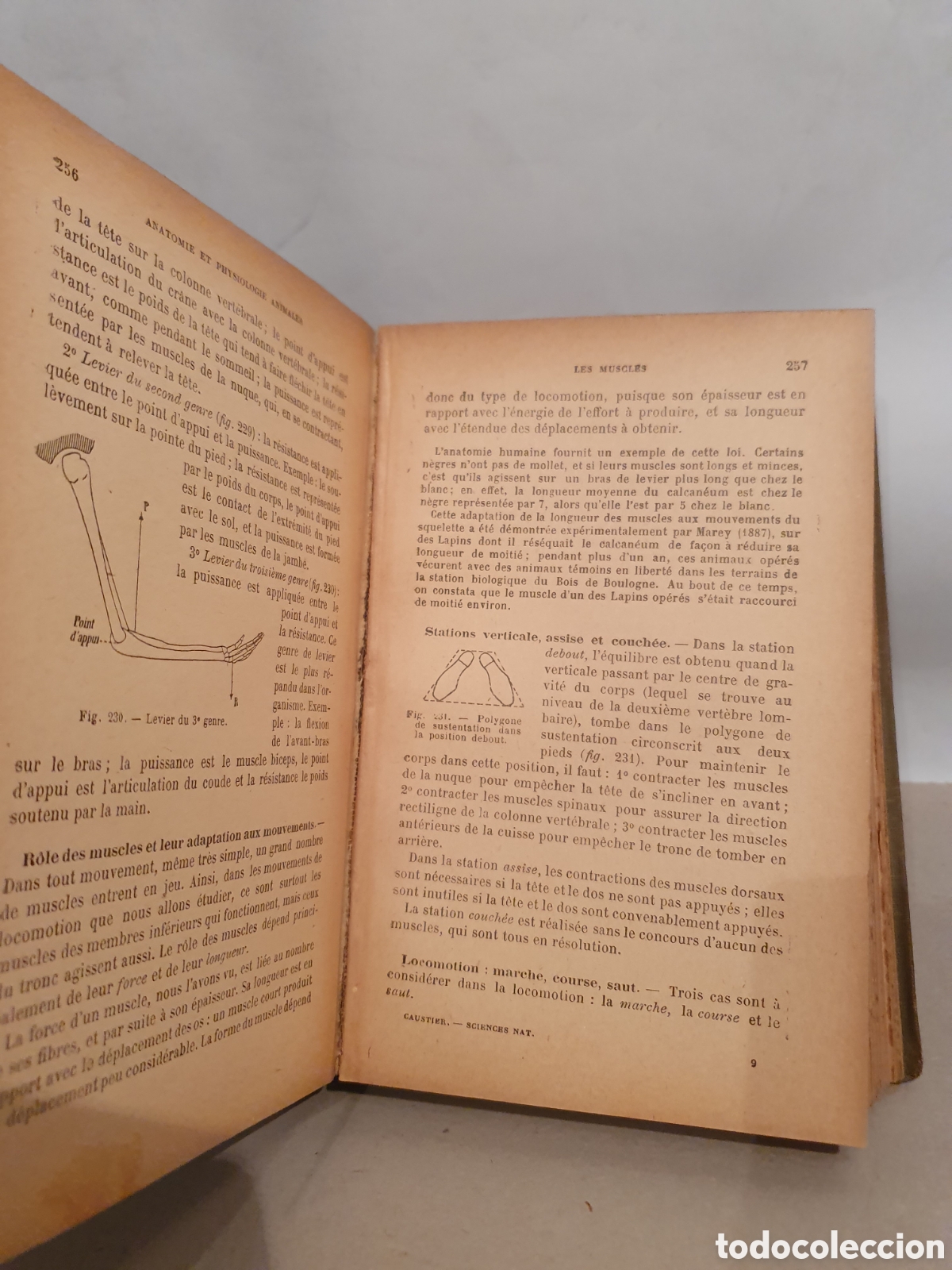 Libros antiguos: E. CAUSTIER. SCIENCIES NATURELLES. PARIS 1912. - Foto 8