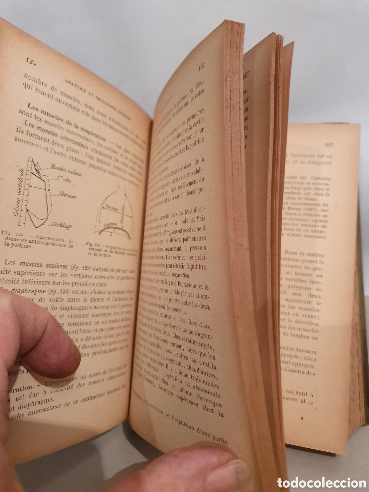 Libros antiguos: E. CAUSTIER. SCIENCIES NATURELLES. PARIS 1912. - Foto 9