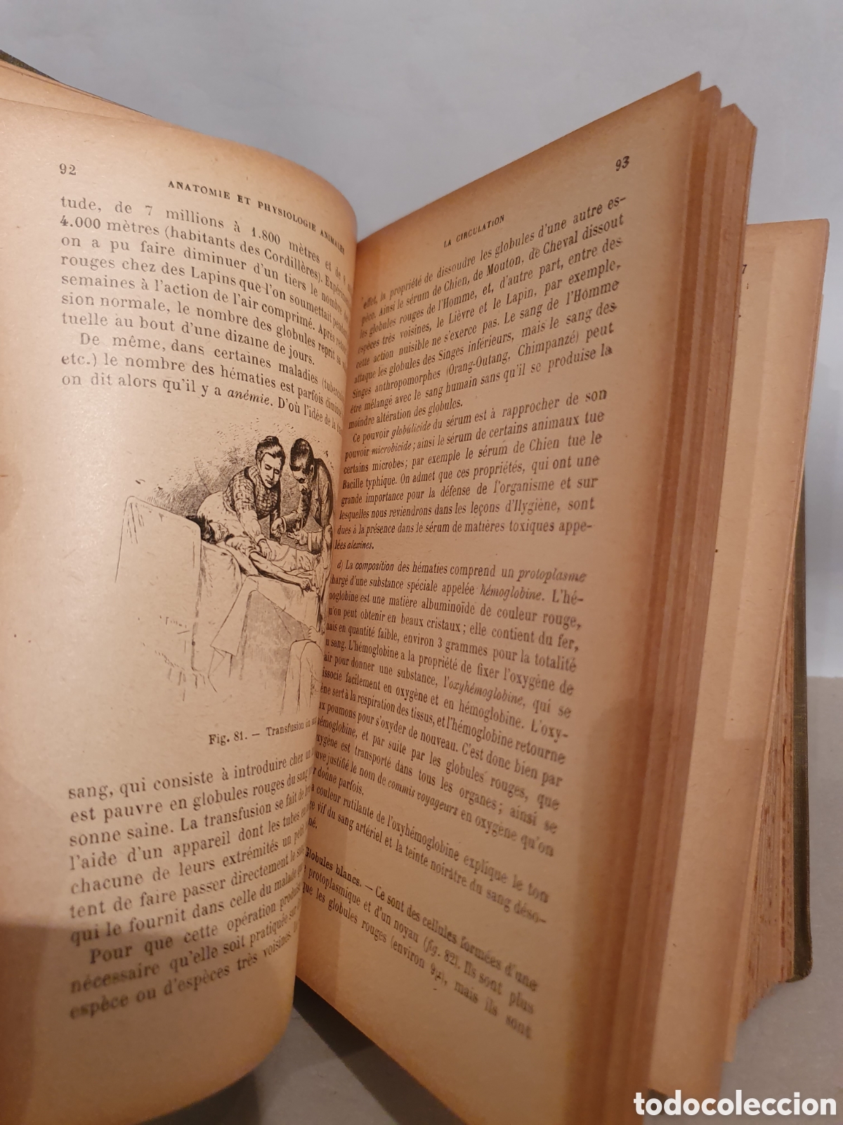 Libros antiguos: E. CAUSTIER. SCIENCIES NATURELLES. PARIS 1912. - Foto 12