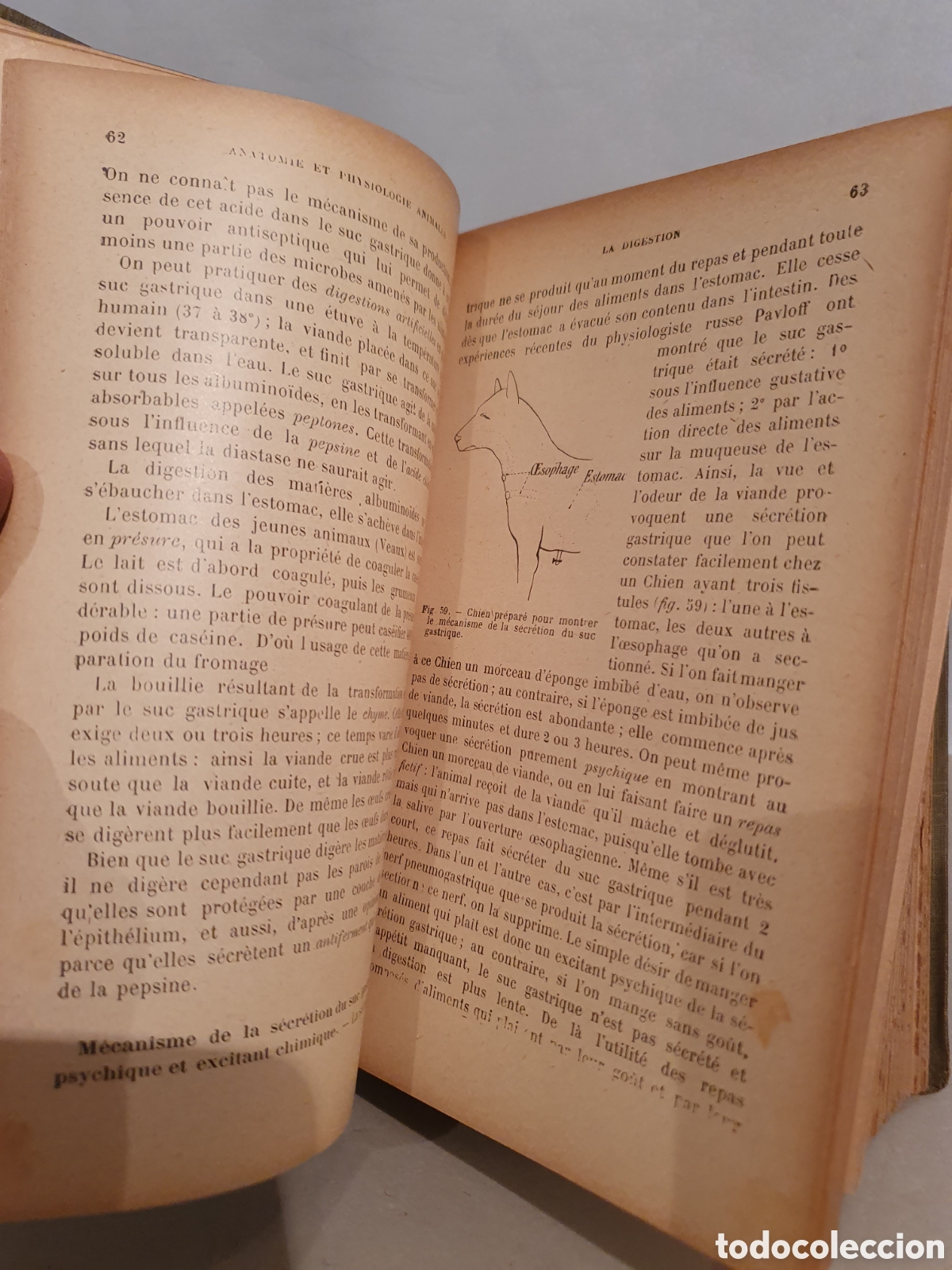 Libros antiguos: E. CAUSTIER. SCIENCIES NATURELLES. PARIS 1912. - Foto 11