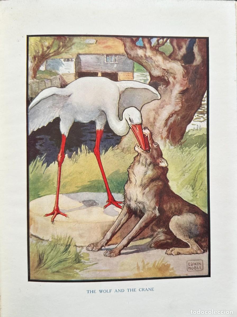 Libros antiguos: Aesop. Fables. Raphael Ttuck - Foto 5