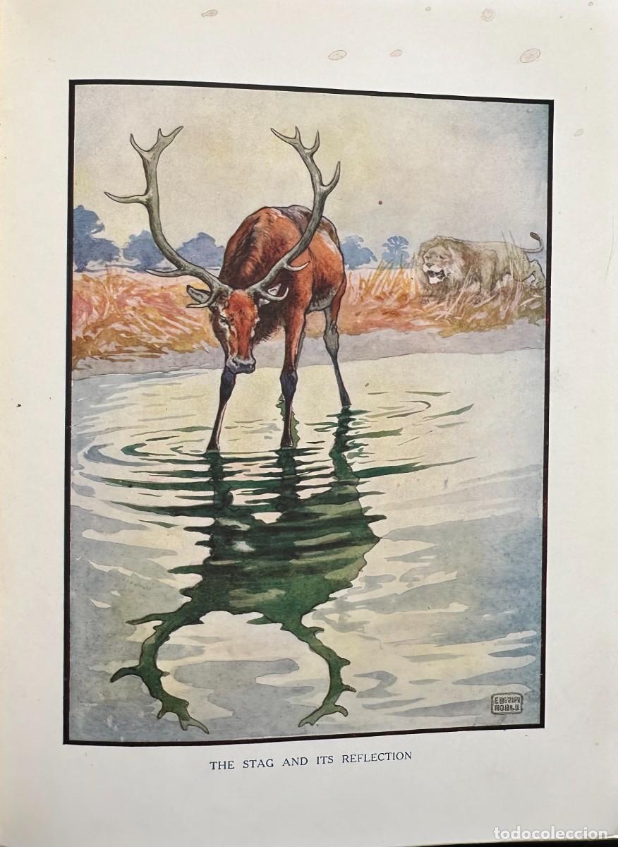 Libros antiguos: Aesop. Fables. Raphael Ttuck - Foto 7