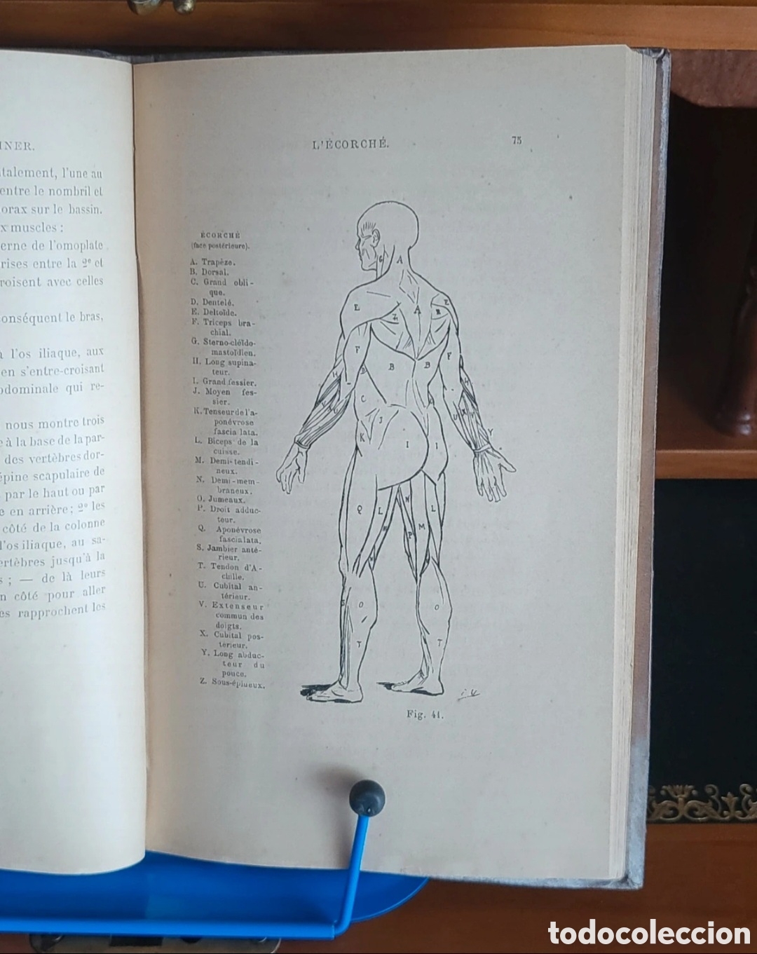 Libros antiguos: M&eacute;thode pour dessiner. E Valton. A&ntilde;o 1886 - Foto 4