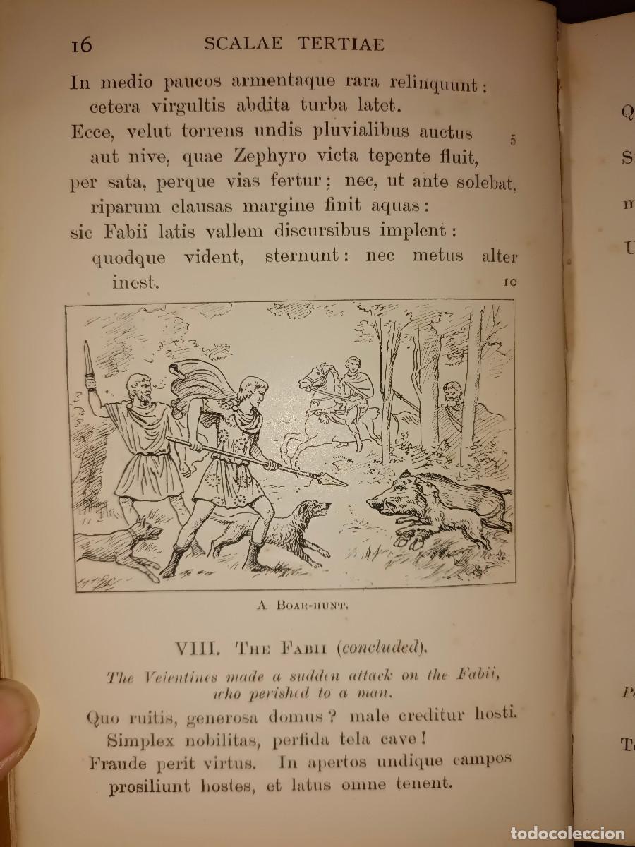 Libros antiguos: SCALAE TERTIAE A&Ntilde;O 1900 - Foto 6