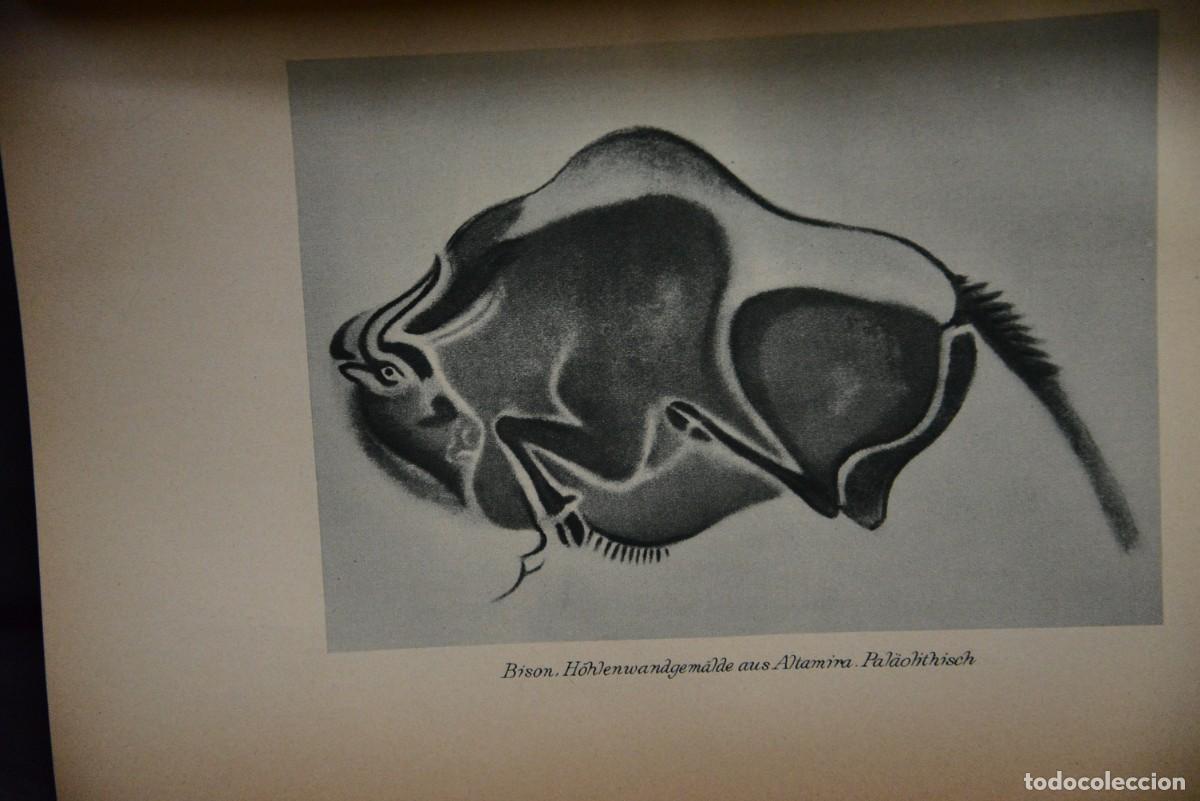 Libros antiguos: Die Kunstder Primitiver - Foto 3