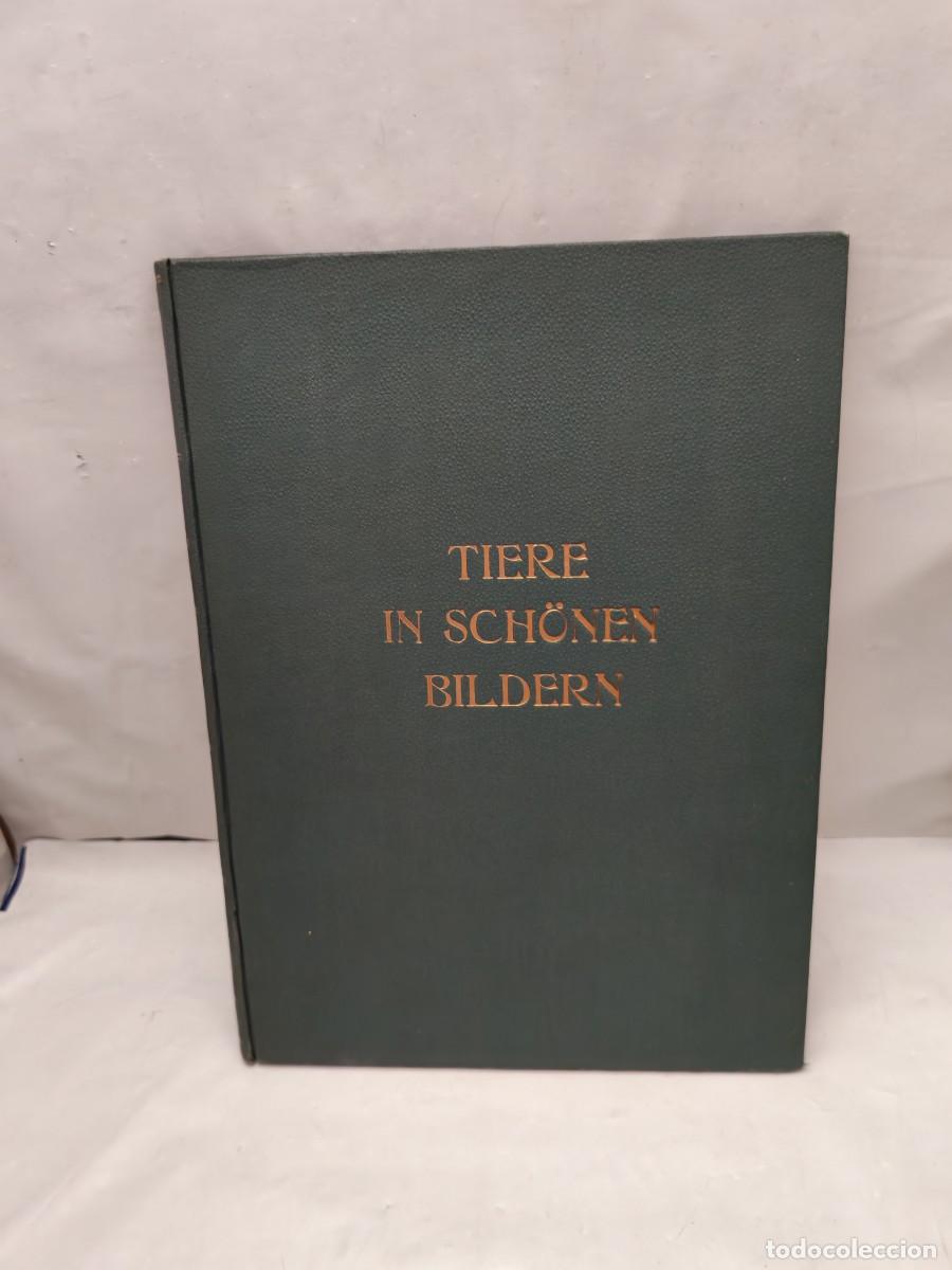 Libros antiguos: Tiere in Schonen Bildern (Edici&oacute;n 1922, tapa dura)