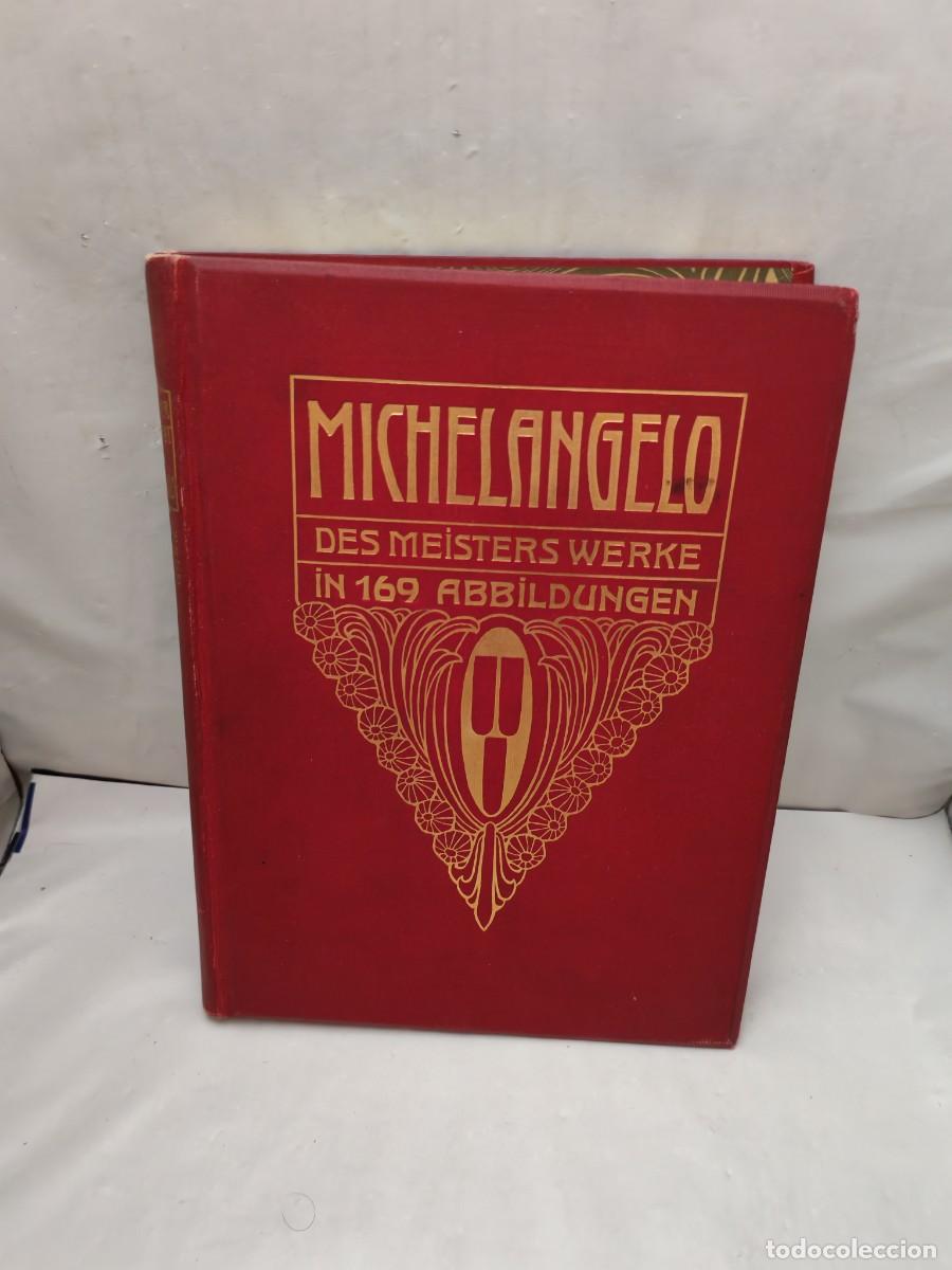 Libros antiguos: Michelangelo. Des Meisters Werke in 169 Abbildungen (Edici&oacute;n 1907, tapa dura con texto en alem&aacute;n)