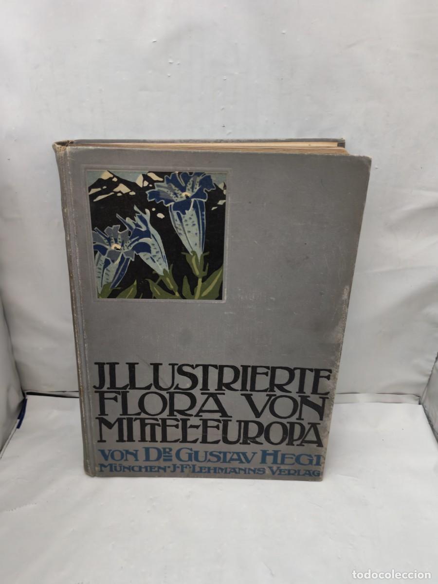 Libri antichi: Illustrierte Flora von Mittel-Europa (Edici&oacute;n 1906)