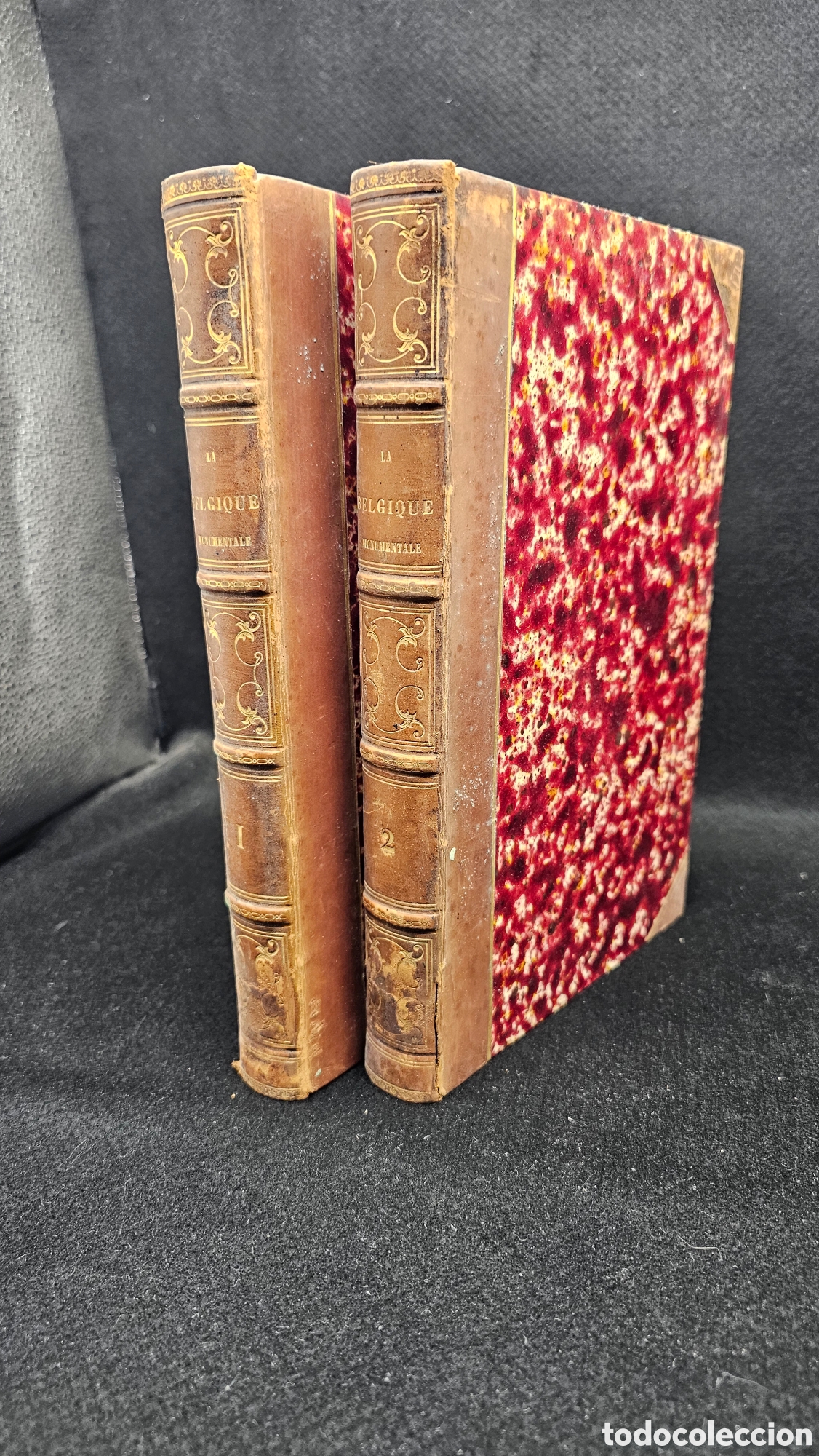 Old books: B&eacute;lgica monumental 1844 ( Frances )