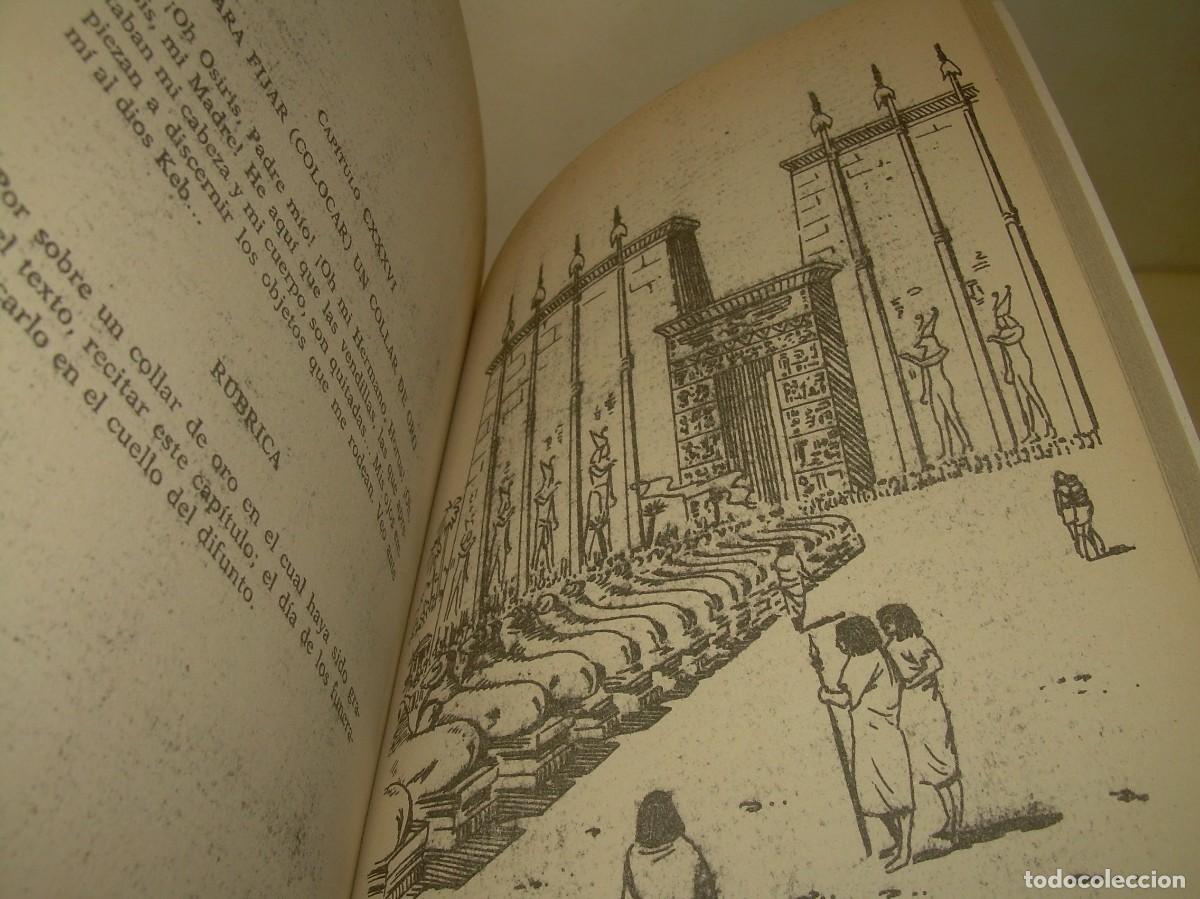 Libros antiguos: EL LIBRO DE LOS MUERTOS. - Foto 11