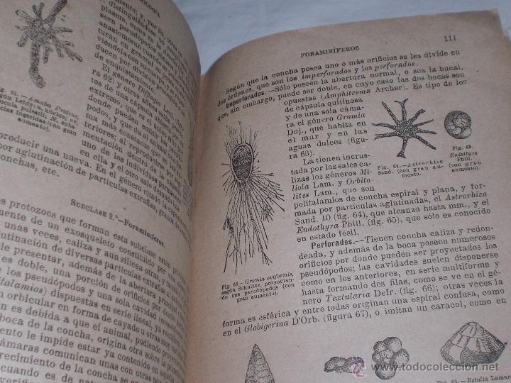 Libros antiguos: Zoologia - Foto 3