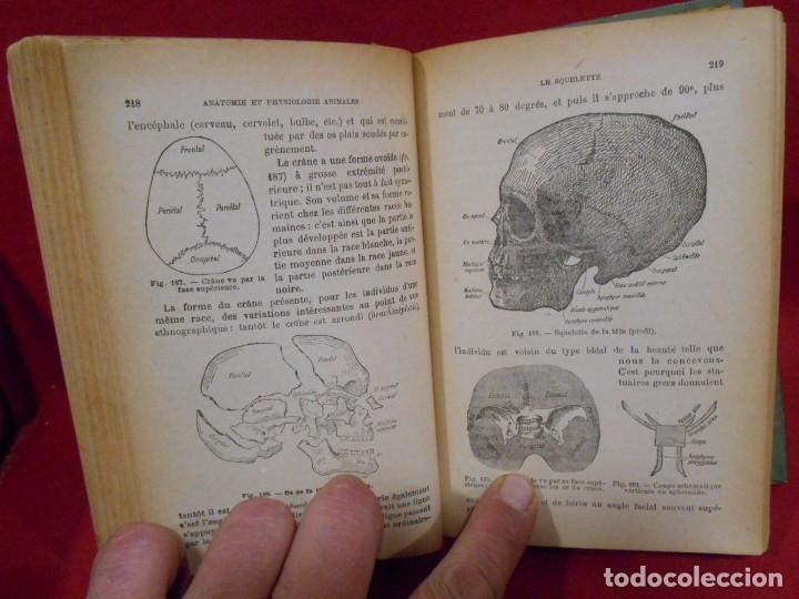 Libros antiguos: LIBRO EN FRANCES - SCIENCES NATURELLES - A&Ntilde;O 1936 - E.CAUTIER - - Foto 4
