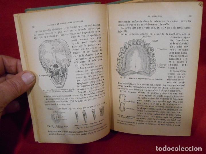 Libros antiguos: LIBRO EN FRANCES - SCIENCES NATURELLES - A&Ntilde;O 1936 - E.CAUTIER - - Foto 5