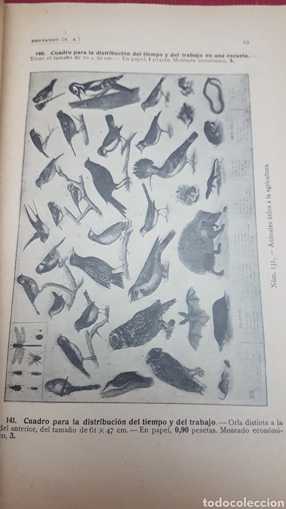 Libros antiguos: Raro catalogo material de Ense&ntilde;anza 1929 - Foto 4