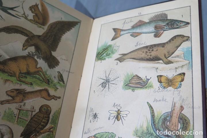 Libros antiguos: THE BERLITZ METHOD - Foto 4
