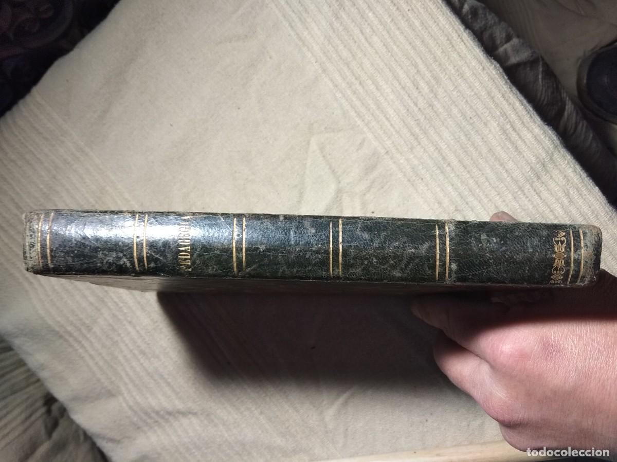 Libros antiguos: 1865 CURSO ELEMENTAL PEDAGOGIA - Foto 4
