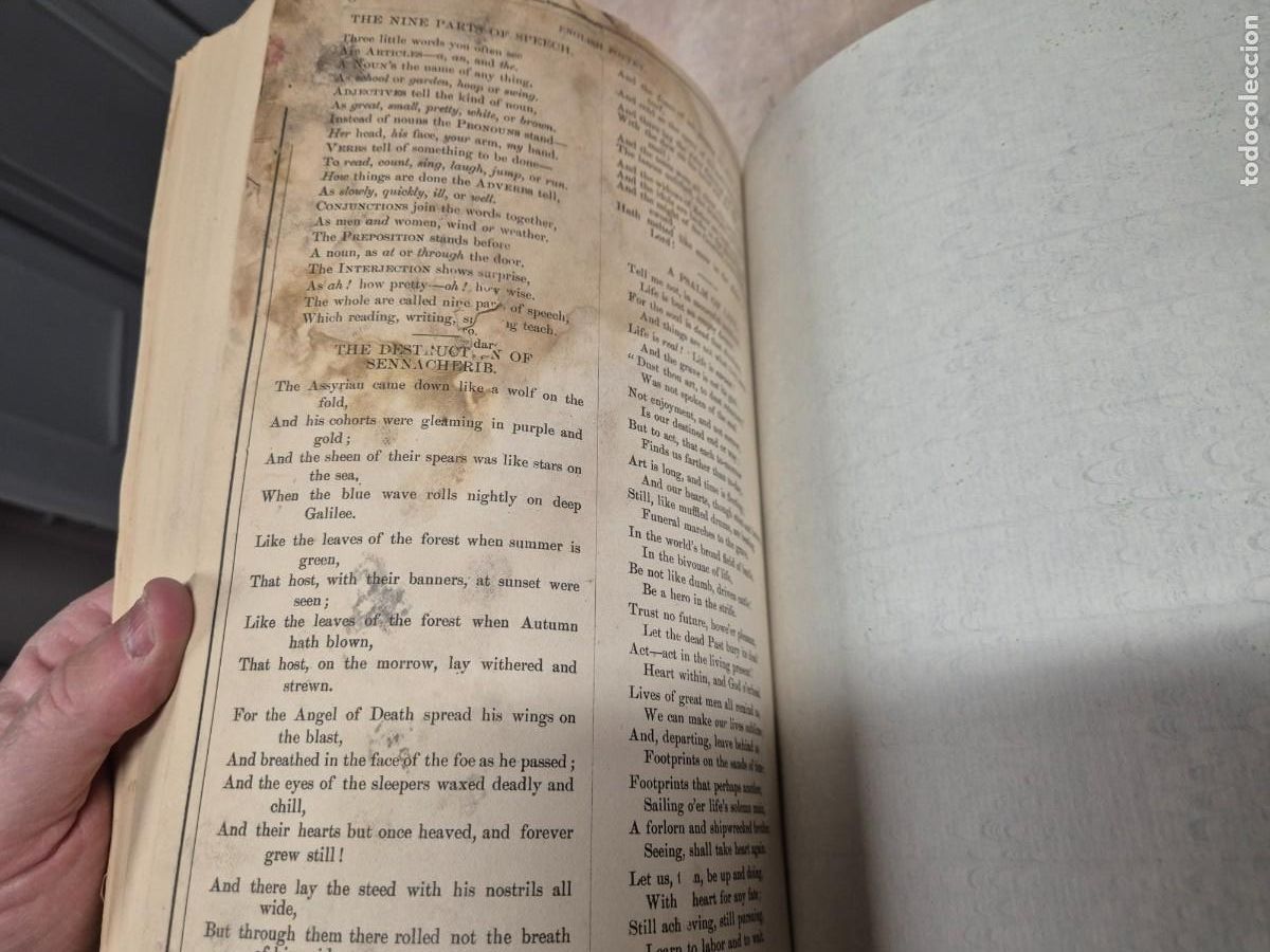 Libros antiguos: Libro de objetos ilustrados espa&ntilde;ol e ingl&eacute;s 1884 - Foto 4