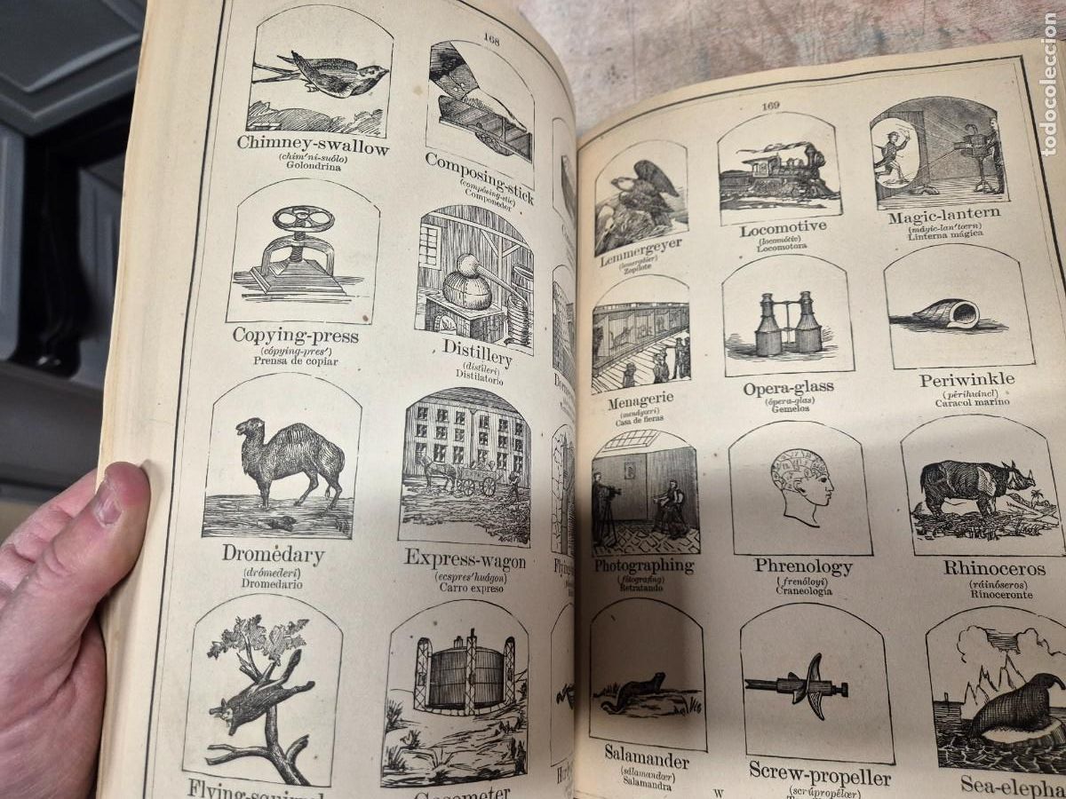 Libros antiguos: Libro de objetos ilustrados espa&ntilde;ol e ingl&eacute;s 1884 - Foto 8