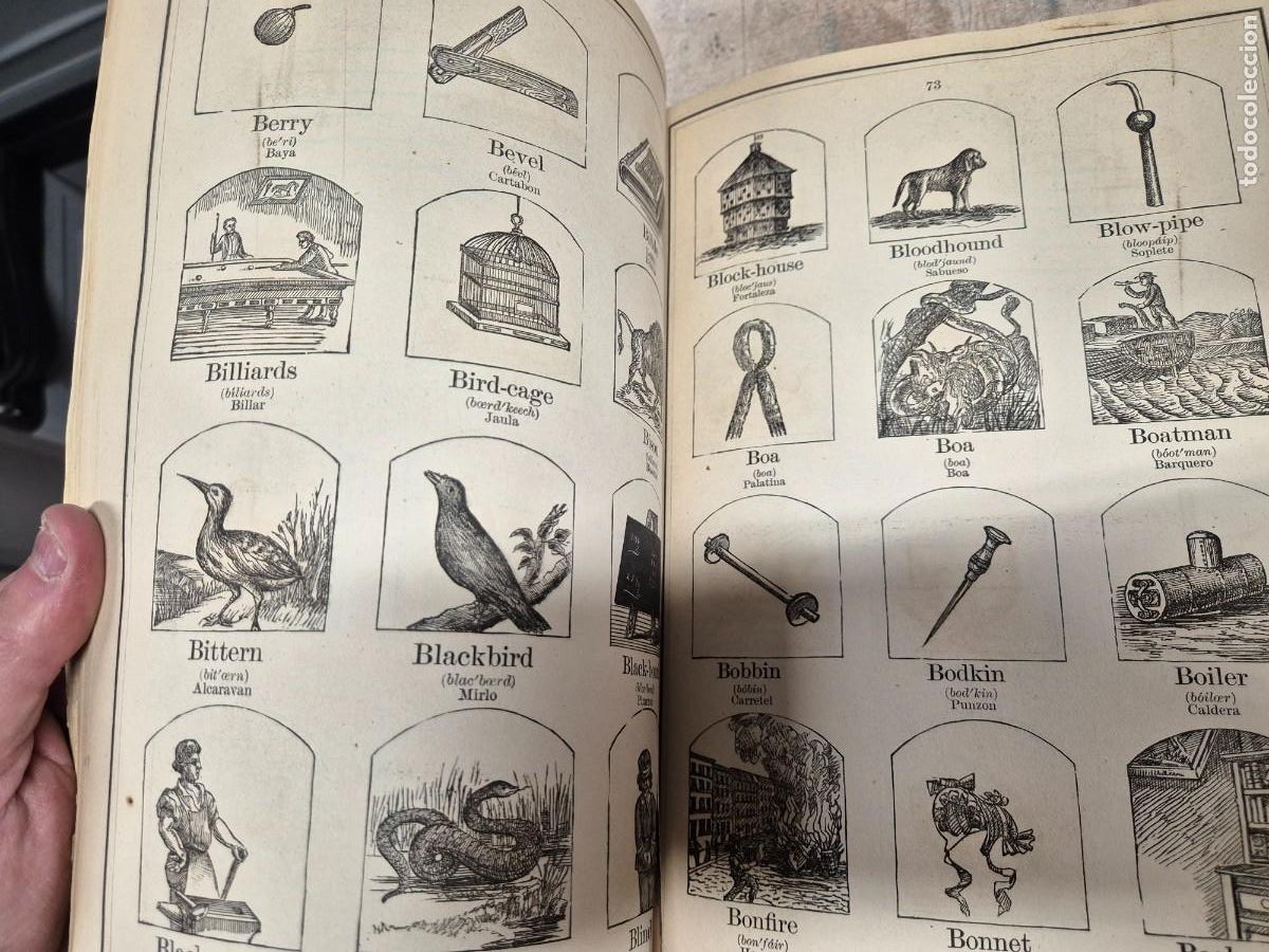 Libros antiguos: Libro de objetos ilustrados espa&ntilde;ol e ingl&eacute;s 1884 - Foto 13
