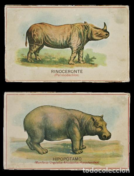 Libros antiguos: CART&Otilde;ES DID&Aacute;CTICOS. - Foto 2