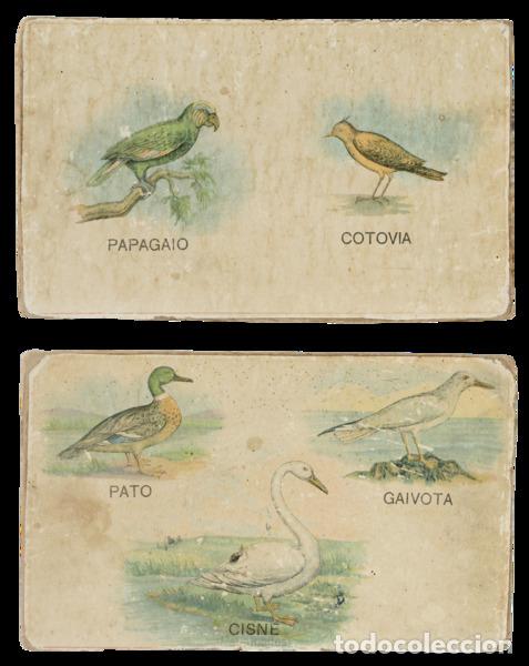 Libros antiguos: CART&Otilde;ES DID&Aacute;CTICOS. - Foto 3