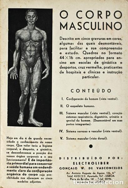 Libros antiguos: CORPO (O) MASCULINO. - Foto 1