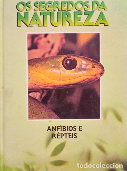 Libros antiguos: ALONSO. (Josefa) - ANF&Iacute;BIOS E R&Eacute;PTEIS. - Foto 1