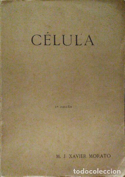Libros antiguos: XAVIER MORATO. (M. J.) - C&Eacute;LULA. - Foto 1