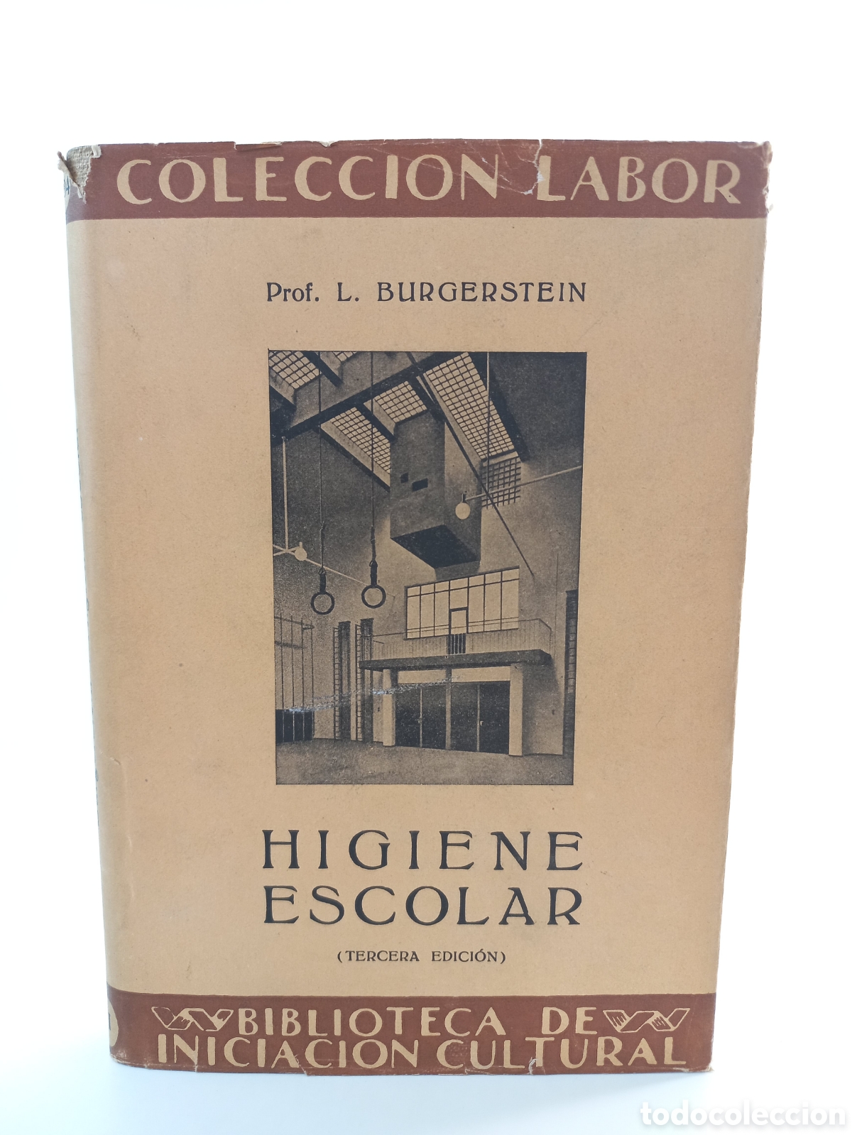 Libros antiguos: Higiene Escolar. Burgerstein. Labor, colecci&oacute;n Labor, 1937. Ilustrado.